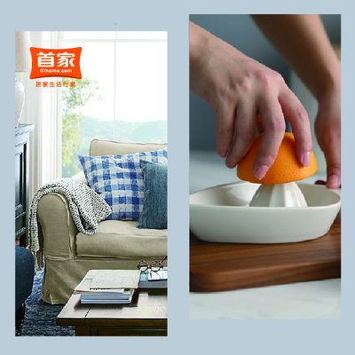 首家网 家居用品垂直网购平台的领跑者